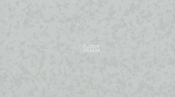 Линолеум Taralay Premium Compact Osmoz 3793 CASHMERE GREY фото 1 | FLOORDEALER